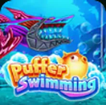 Puffer Swimming — OroPlay Colombia